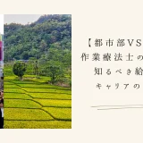 【都市部VS地方】作業療法士の転職で知るべき給与とキャリアの違い